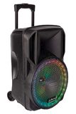 PARTY15RGB PARTY Light&amp;Sound portable speaker + microphone