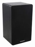 SONUS100B-100V BS acoustic speaker
