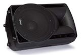 ASB15180U Fonestar speaker with mix