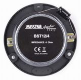 BST12/4 Master Audio speaker