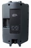 ESP15 TORTECH speaker