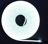 NEON500-CW IBIZA LED strip