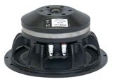 NST06  Master Audio speaker