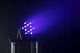 THINPAR-36X3-UV Ibiza Light UV LED Light