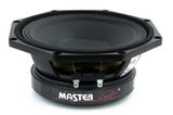 LST08/4 Master Audio speaker