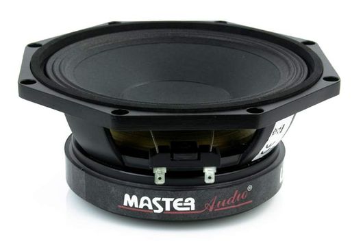 LST08/8 Master Audio speaker