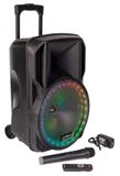 PARTY15RGB PARTY Light&Sound portable speaker + microphone