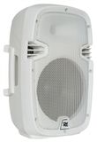 PDE 6 WHITE Power Dynamics speaker