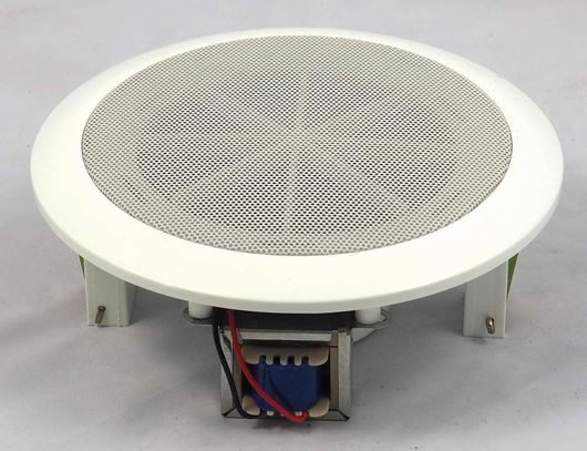 VYP017 5" overhead speaker