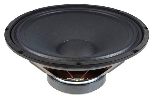 VYP232 V12-300 speaker